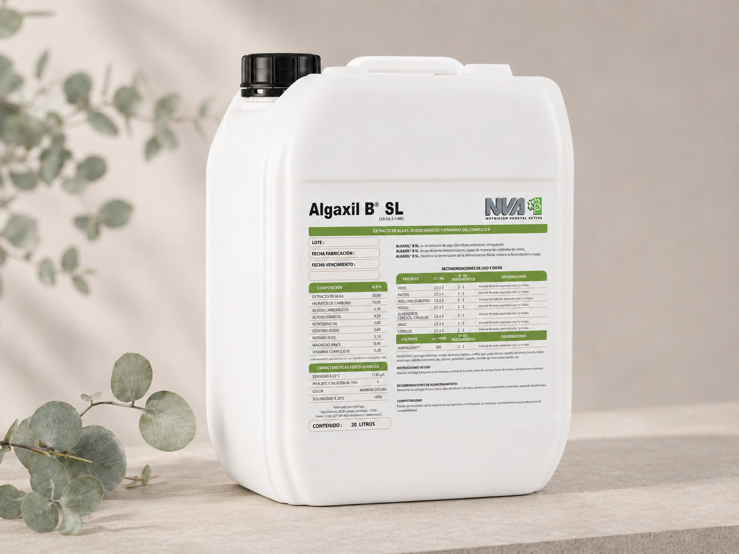 Algaxil B